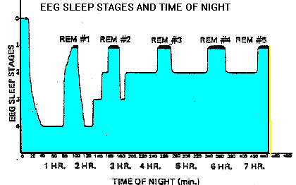 [Stages of sleep and time of night]